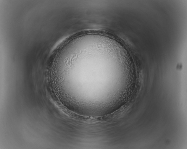 X0000110981208200906191356