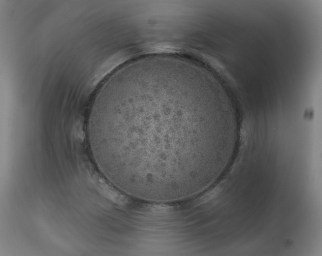 X0000110981209200906191356