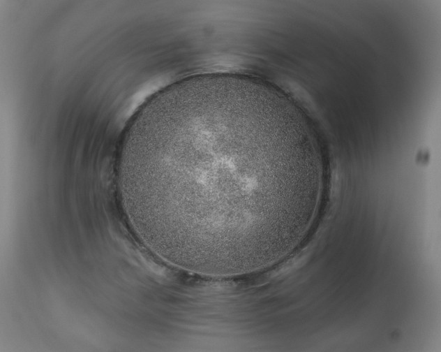 X0000110981210200906191356