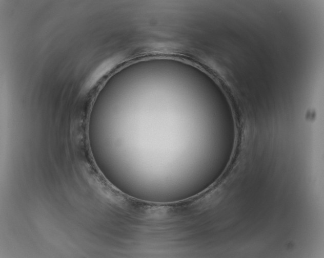 X0000110981211200906191356