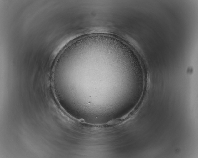 X0000110981212200906191356