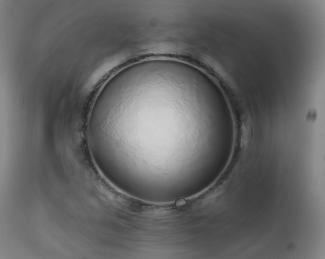 X0000110981213200906191356