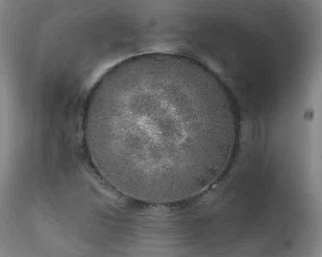 X0000110981214200906191356