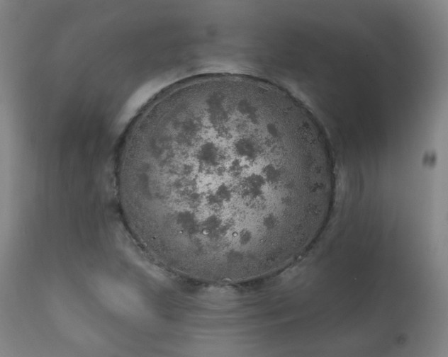 X0000110981215200906191356