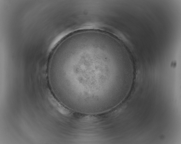 X0000110981216200906191356