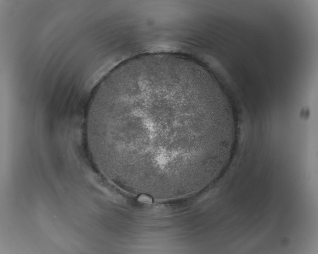 X0000110981217200906191356