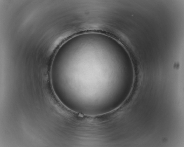 X0000110981218200906191356