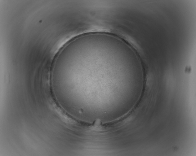 X0000110981220200906191356