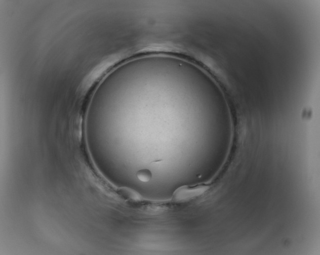 X0000110981221200906191356