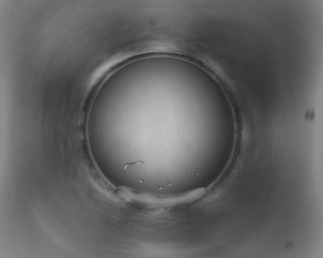 X0000110981222200906191356