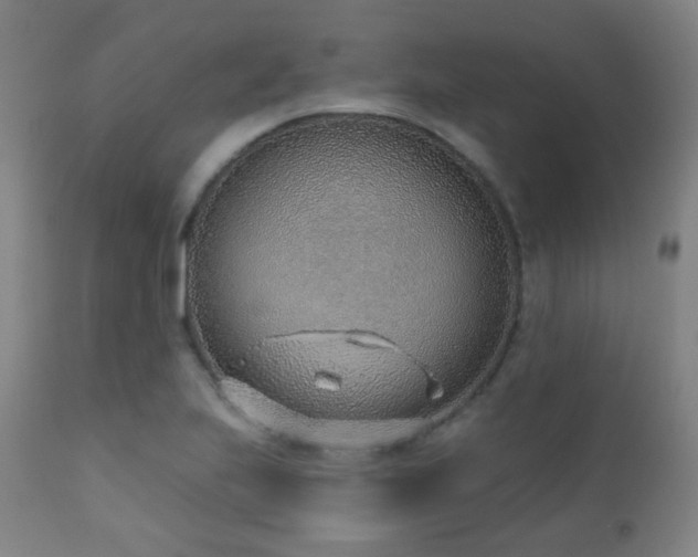 X0000110981223200906191356