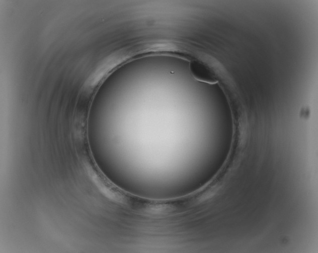 X0000110981225200906191356