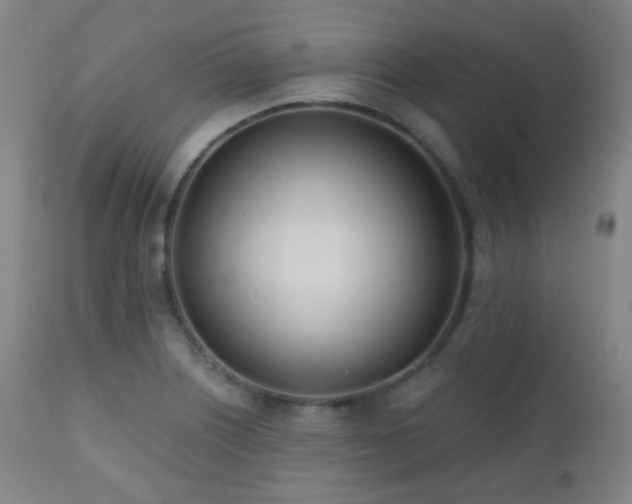 X0000110981226200906191356