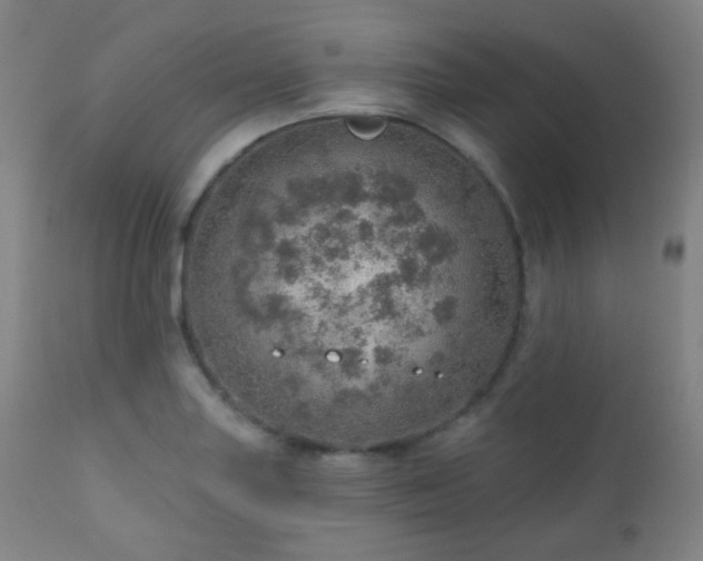 X0000110981227200906191356