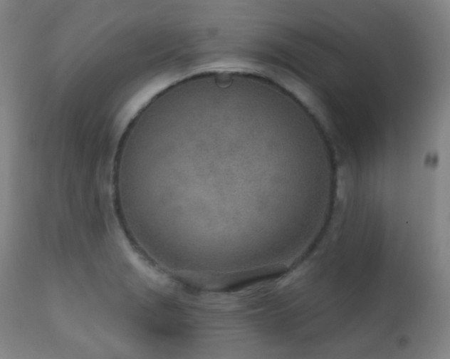 X0000110981229200906191356