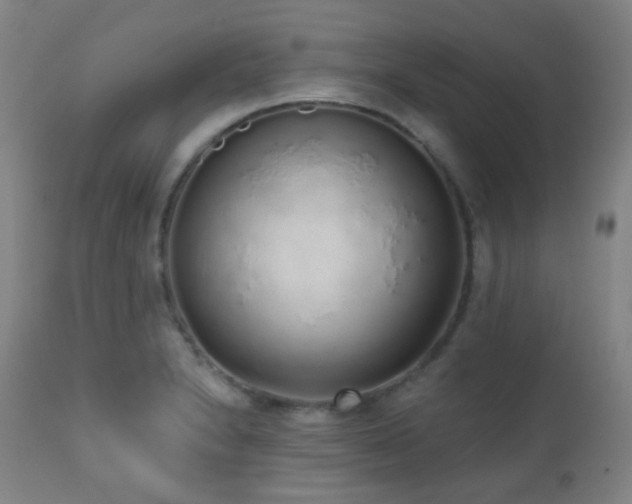 X0000110981230200906191356