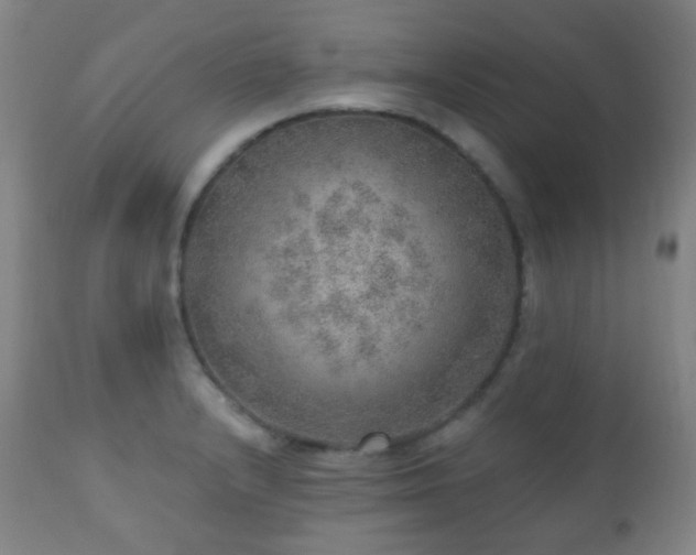 X0000110981232200906191356