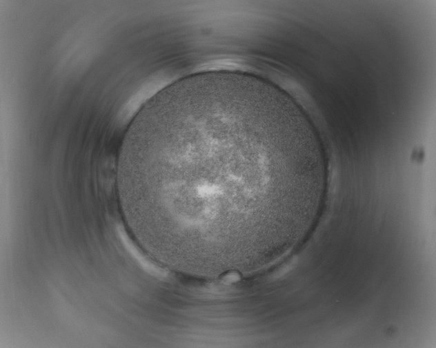 X0000110981233200906191356