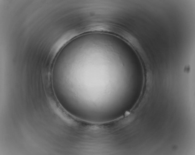 X0000110981234200906191356