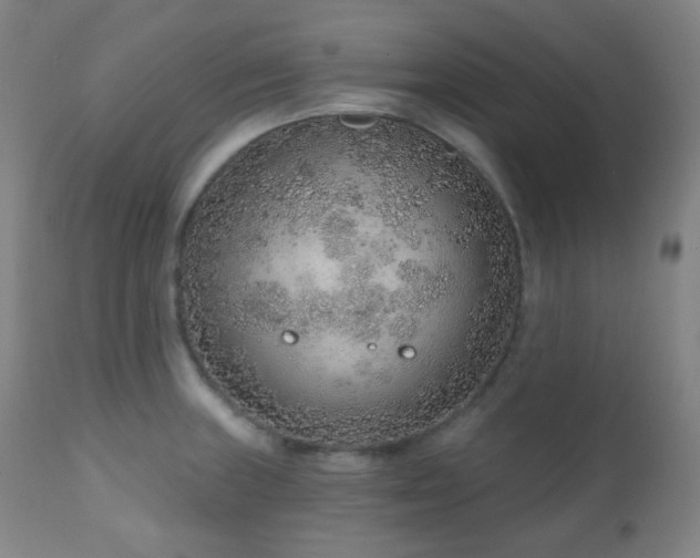 X0000110981235200906191356