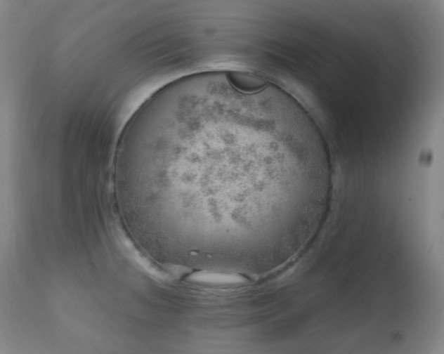 X0000110981236200906191356