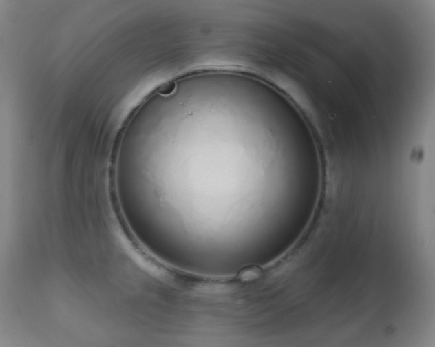 X0000110981237200906191356