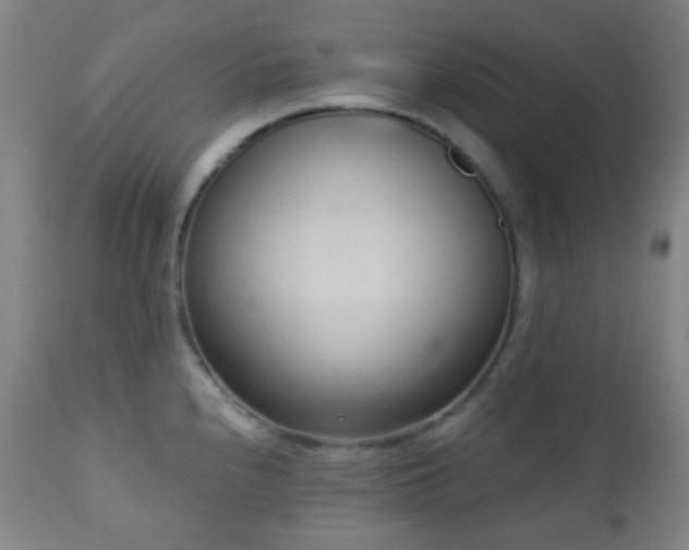 X0000110981240200906191356