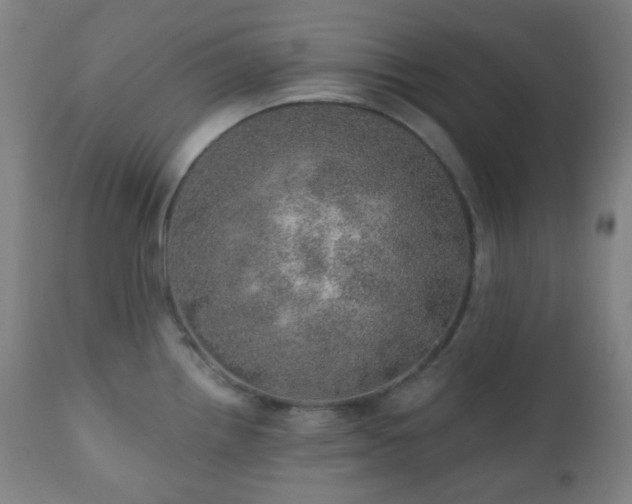 X0000110981242200906191357