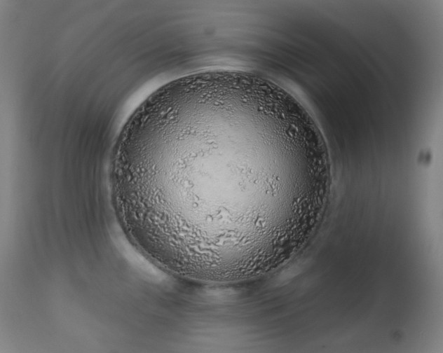 X0000110981243200906191357