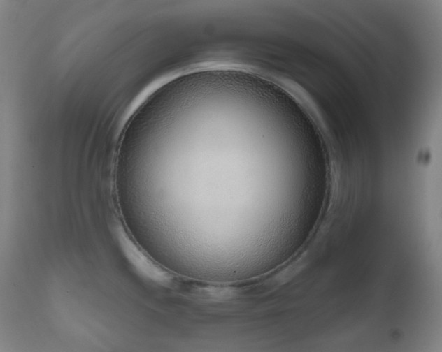 X0000110981244200906191357