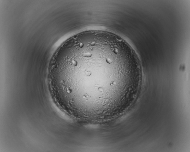 X0000110981245200906191357