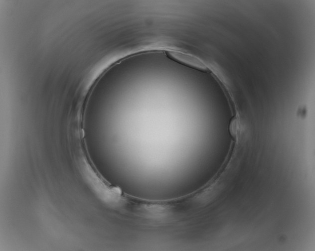 X0000110981246200906191357