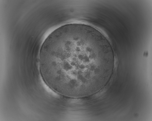 X0000110981247200906191357