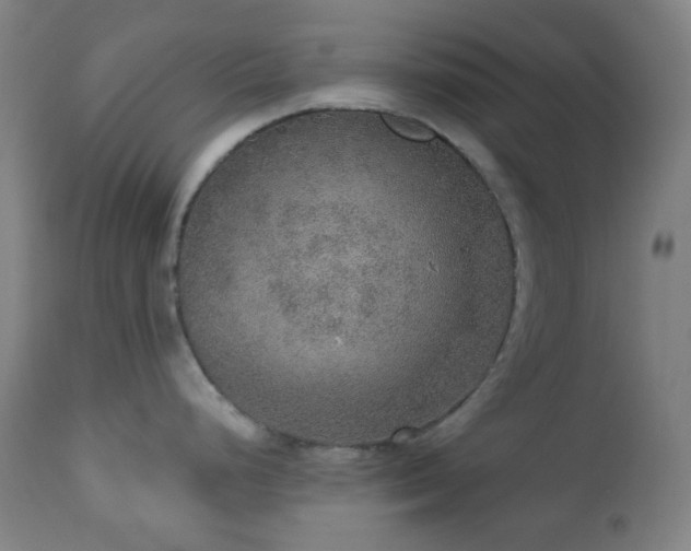 X0000110981248200906191357