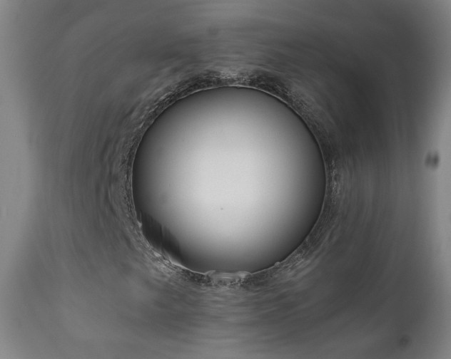 X0000110981249200906191356