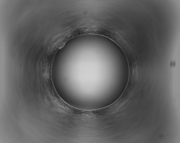 X0000110981250200906191356