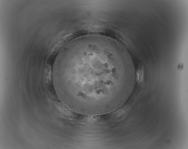 X0000110981251200906191356