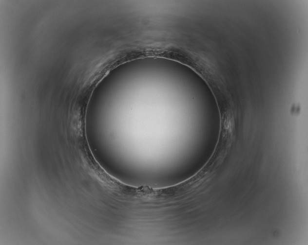 X0000110981252200906191356