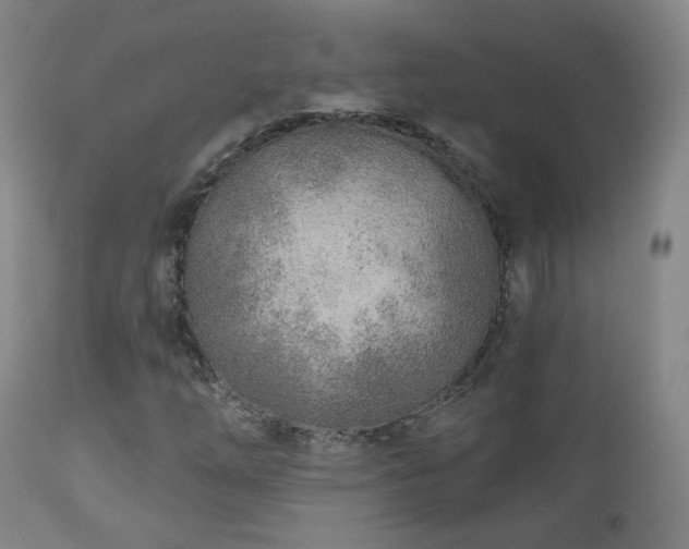 X0000110981254200906191356