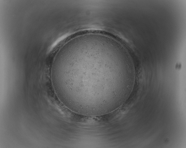 X0000110981255200906191356