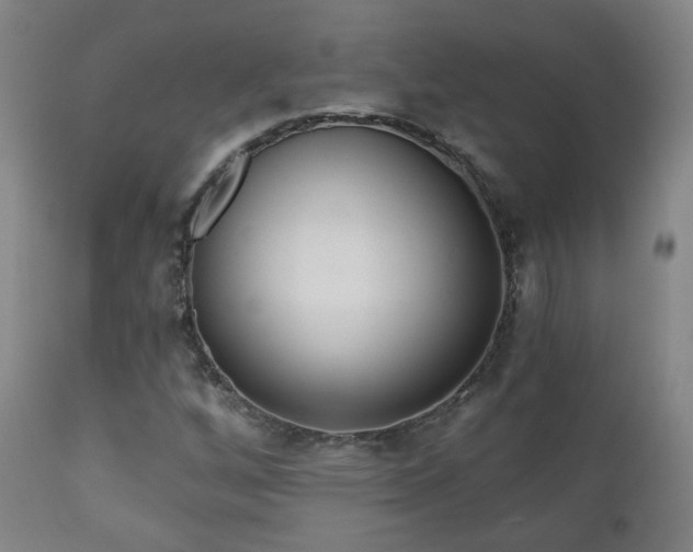 X0000110981256200906191356