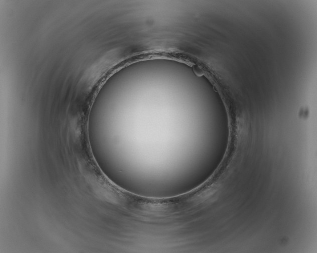 X0000110981257200906191356