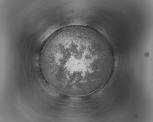 X0000110981258200906191356