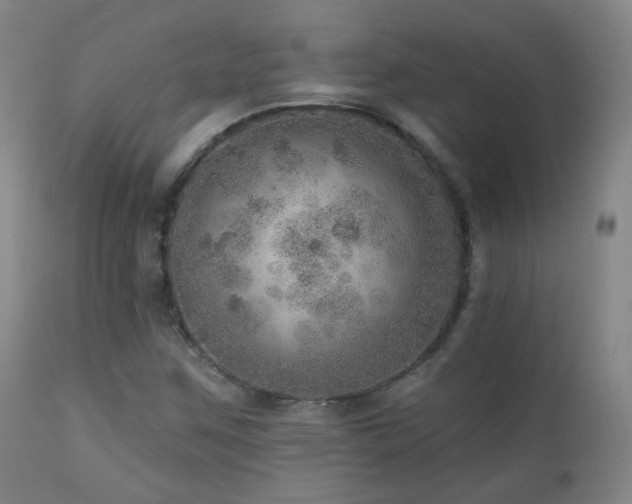 X0000110981259200906191356