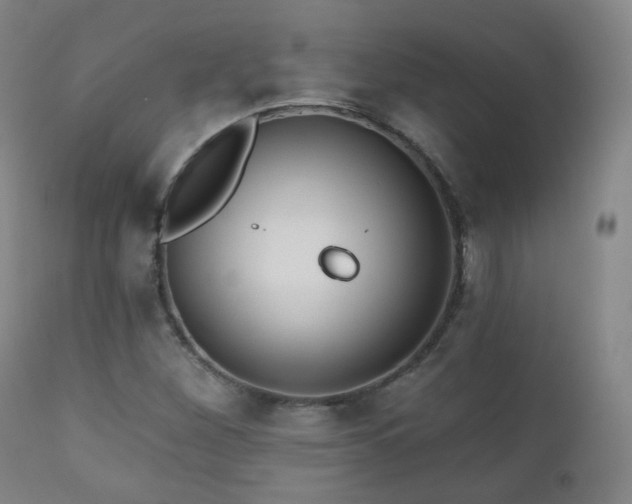 X0000110981260200906191356