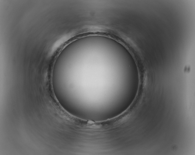 X0000110981261200906191356