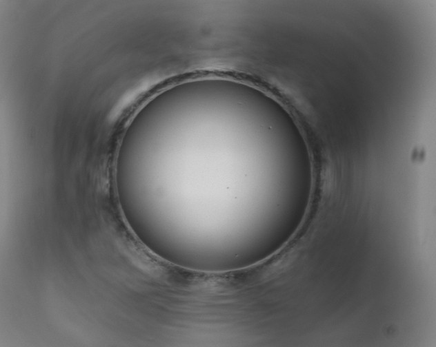 X0000110981262200906191356