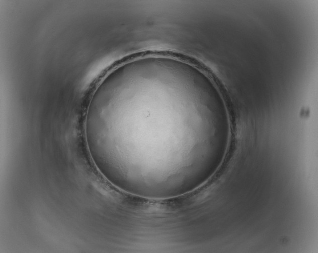 X0000110981263200906191356