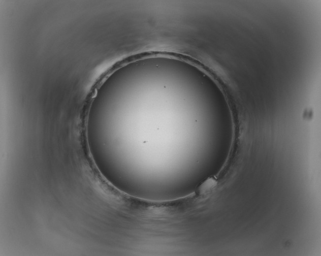 X0000110981264200906191356