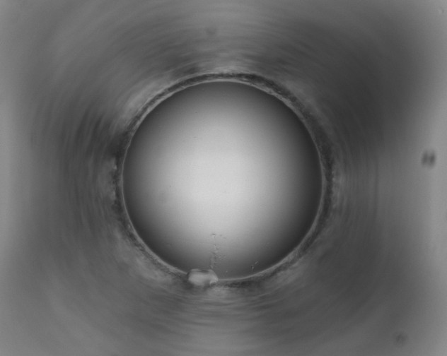 X0000110981265200906191356